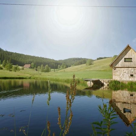Ferienhaus Im Schwarzwald Am See "Backhaeusle" Villa Hornberg Ngoại thất bức ảnh